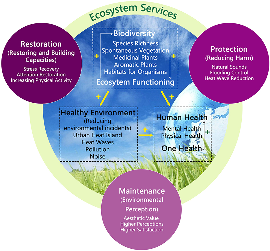 ECO Services